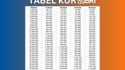 Waspada Penipuan KUR BRI 2026! Ini Jalur Resmi Pengajuan Pinjaman Tanpa Biaya dan Syarat Terbarunya