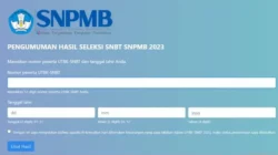 Hasil Utbk Snbt 2026 Diumumkan Hari Ini, Ratusan Ribu Peserta Lolos Ptn - Portalmadura.com Hasil UTBK SNBT 2026 Diumumkan Hari Ini, Ratusan Ribu Peserta Lolos PTN