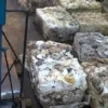 Harga Karet SGX Terus Bertahan di Atas Rp40 Ribu per Kg: Antara Konsolidasi Pasar dan Harapan Petani