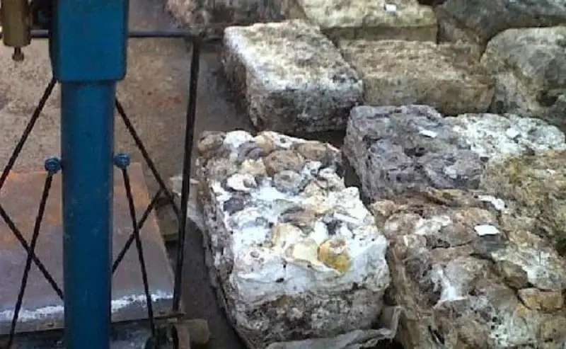 Harga Karet SGX Terus Bertahan di Atas Rp40 Ribu per Kg: Antara Konsolidasi Pasar dan Harapan Petani