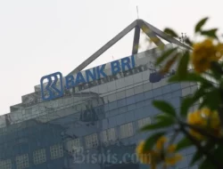 KUR BRI Juni 2026: Akses Permodalan UMKM Semakin Mudah dengan Bunga Rendah dan Kebijakan Fleksibel