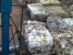 Harga Karet SGX Terus Bertahan di Atas Rp40 Ribu per Kg: Antara Konsolidasi Pasar dan Harapan Petani