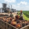 Guncang Pasar Modal! Saham FORU Melonjak Usai Rencana Rights Issue Jumbo Rp27,1 Triliun