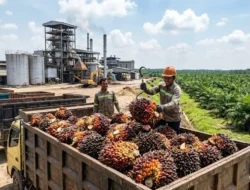 Guncang Pasar Modal! Saham FORU Melonjak Usai Rencana Rights Issue Jumbo Rp27,1 Triliun