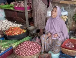 Harga Bawang Merah di Sumenep Merosot Drastis, Cabai Rawit Malah Meroket Lagi!