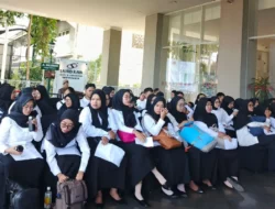 Miris! Banyak PPPK Paruh Waktu Cuma Digaji Rp200 Ribu, Aliansi Desak Penggajian Dialihkan ke APBN
