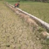 Sumenep Siaga Darurat Kekeringan 2026: 76 Desa di 19 Kecamatan Terancam Krisis Air Bersih