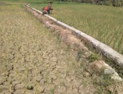 Sumenep Siaga Darurat Kekeringan 2026: 76 Desa di 19 Kecamatan Terancam Krisis Air Bersih