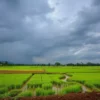 Cuaca Bangkalan 4 Juli 2026: Madura Diprediksi Cerah Sepanjang Hari, Siap Beraktivitas Tanpa Hujan!