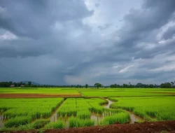 Cuaca Bangkalan 4 Juli 2026: Madura Diprediksi Cerah Sepanjang Hari, Siap Beraktivitas Tanpa Hujan!