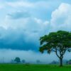 Cuaca Sampang 2 Juli 2026: Langit Cerah Berawan Dominasi Hari, Minim Potensi Hujan!