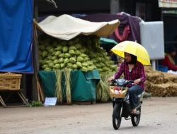 Cuaca Sampang Hari Ini dan Besok: Dominasi Cerah Berawan, Waspada Potensi Perubahan!