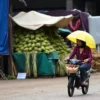 Cuaca Sampang Hari Ini dan Besok: Dominasi Cerah Berawan, Waspada Potensi Perubahan!