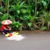 Cuaca Sumenep Hari Ini, 10 Juli 2026: Cerah Berawan, Waspada Angin Musim Kemarau!