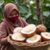 Demam Melanda? Ini Deretan Buah Ajaib yang Siap Kembalikan Kebugaran Anda!