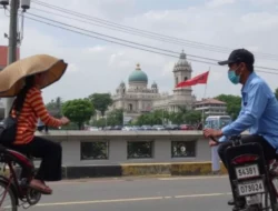 Ramalan Shio Sabtu 4 Juli 2026: Akhir Pekan Penuh Berkah, Siapa Paling Hoki?