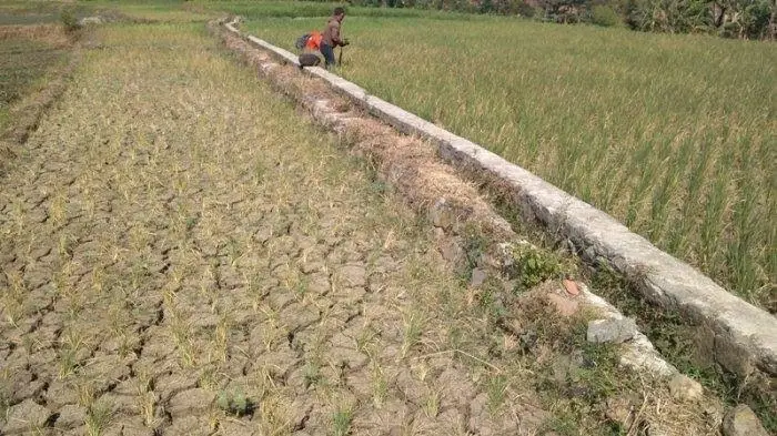Sumenep Siaga Darurat Kekeringan 2026: 76 Desa di 19 Kecamatan Terancam Krisis Air Bersih