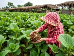 Tersembunyi di Balik Sawah! 10 Tanaman Liar Ini Ternyata ‘Superfood’ Gratis yang Bikin Kaget dan Penuh Khasiat!