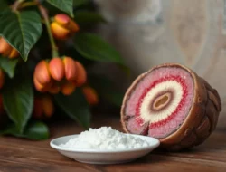 Terungkap! 9 Manfaat Kunyit yang Jarang Diketahui: Solusi Alami Cegah Penyakit Jantung, Diabetes, hingga Alzheimer