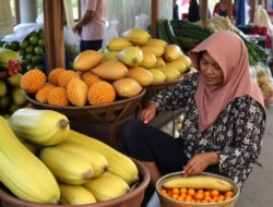 Update Harga Sembako 5 Juli 2026: Komoditas Pangan Bergerak Bervariasi, Cabai dan Beras Jadi Sorotan!
