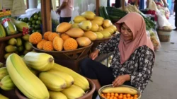 Update Harga Sembako 5 Juli 2026: Komoditas Pangan Bergerak Bervariasi, Cabai Dan Beras Jadi Sorotan! - Portalmadura.com Update Harga Sembako 5 Juli 2026: Komoditas Pangan Bergerak Bervariasi, Cabai dan Beras Jadi Sorotan!