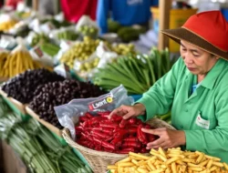 Update Harga Sembako 7 Juli 2026: Minyak Goreng dan Cabai Merah Bergerak Naik, Simak Rincian Lengkapnya!