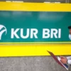Update Terbaru KUR BRI Hari Ini: Syarat, Bunga, dan Cara Mengajukan untuk UMKM!