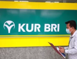 Update Terbaru KUR BRI Hari Ini: Syarat, Bunga, dan Cara Mengajukan untuk UMKM!