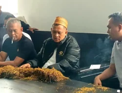 H. Her Buka Pembelian Tembakau 2026 hingga Rp75 Ribu per Kg, Petani Diingatkan Jangan Petik Daun Muda