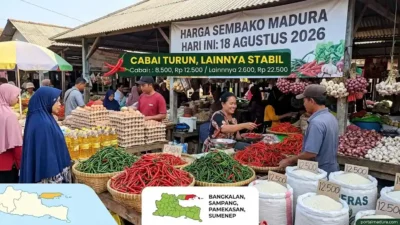 Daftar Harga Sembako Madura Hari Ini 18 Agustus 2026: Beras dan Minyak Goreng Stabil, Cabai Mulai Turun