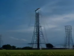 Tarif Listrik Terbaru PLN per kWh, Berlaku Hingga September 2026: Pemerintah Pertahankan Harga Demi Stabilitas Ekonomi