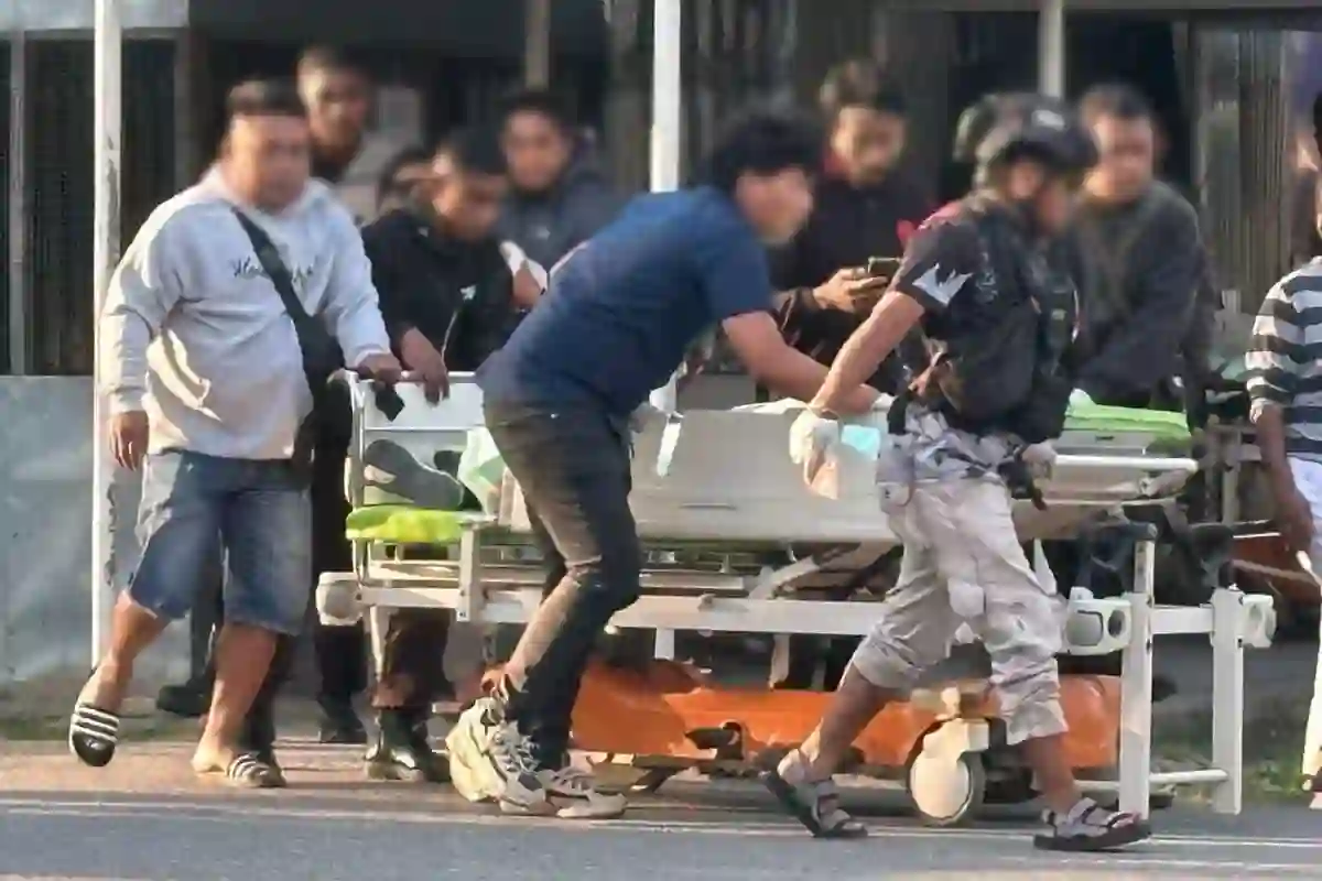 3 Petugas Pertanian Tewas Ditembak KKB di Jayawijaya, Pemerintah Didesak Bertindak Tegas!