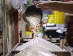 Harga Beras Meroket di Semua Tingkat pada Agustus 2026, Jenis Premium Paling Melonjak