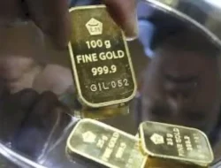Harga Emas Antam Hari Ini Anjlok! Cek Rincian Lengkapnya di Sini