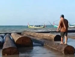 Ratusan Kayu Gelondongan Terdampar di Pesisir Sumenep, Ternyata Milik Tongkang Kaltim yang Dihantam Gelombang 4 Meter