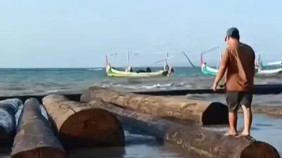 Ratusan Kayu Gelondongan Terdampar di Pesisir Sumenep, Ternyata Milik Tongkang Kaltim yang Dihantam Gelombang 4 Meter