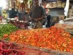 Update Harga Sembako di Madura Hari Ini: Beras hingga Minyak Stabil