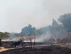 Waspada! 51 Kasus Kebakaran Landa Bangkalan Akibat Kemarau Ekstrem