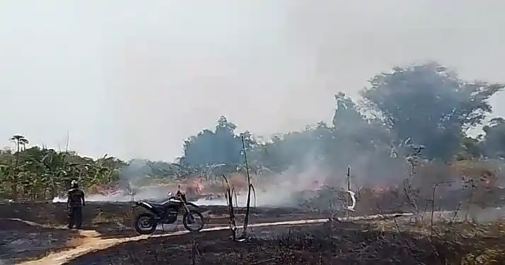 Waspada! 51 Kasus Kebakaran Landa Bangkalan Akibat Kemarau Ekstrem