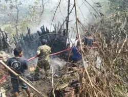 Bakar Sampah Berujung Petaka, 4 Kandang Sapi di Pasongsongan Sumenep Ludes Terbakar